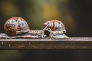 クレカで賃料の支払いは可能なのか？