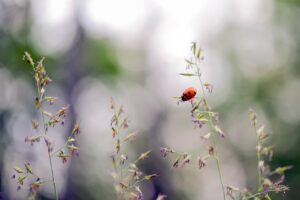 初めてのクレカに最適なおすすめはどれですか？