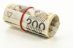 一人暮らしの女性がクレジットカードで保険料を支払いする際のポイントは？