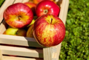 一人暮らし女性がクレジットカードをApple Payで設定する方法は？